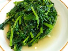 清炒豌豆尖-翡翠江南(国贸商城店)