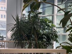 -大树餐厅(红旗街万达店)