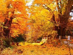 -洛阳白云山景区