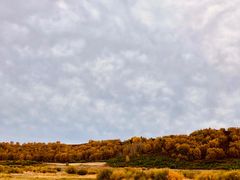 -塞罕坝国家级自然保护区