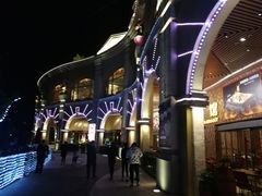 -珠海横琴长隆《卡卡虎奇遇记》