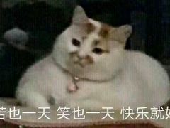 -泰顺江南春面馆