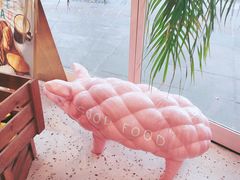 -WHEN PIGS FLY当猪飞