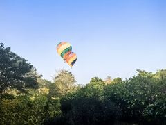 -中国科学院西双版纳热带植物园