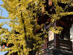 -香积寺