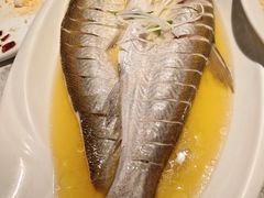 鸡汁大白鱼-悦海·家宴·冰花皮皮虾大锅贴(宝龙店)