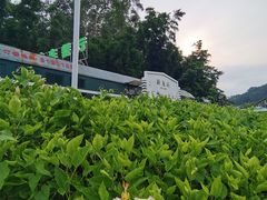 -黄埔油麻山森林公园