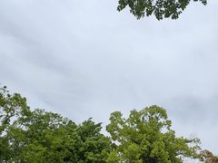 -武汉紫薇都市田园