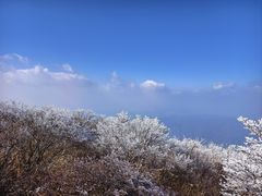 -大围山国家森林公园