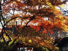 -虞山风景区