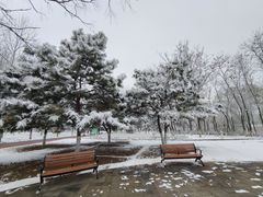 -大兴滨河森林公园