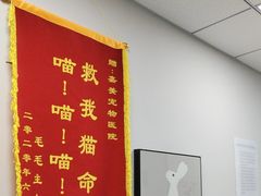 -嘉美宠物医院