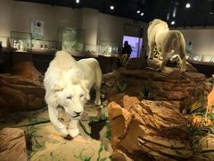 -陕西自然博物馆