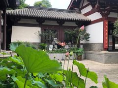 -灵谷景区