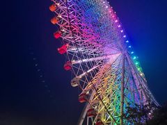 -大阪海游馆