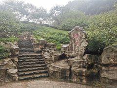 -重庆彩云湖湿地公园