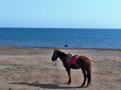 -青海湖国家重点风景名胜区