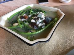 -崖口红树林海鲜餐厅