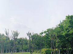 -安徽广播电视台