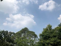 -火炉山森林公园