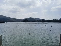 -顺峰山公园