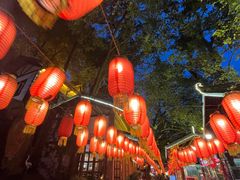 -巴倒烫陆派火锅山庄(南山总店)