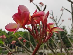 -映月湖公园