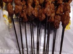 -尕胡才炕锅烤羊肉馆(八一路店)