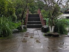 -桂湖森林公园