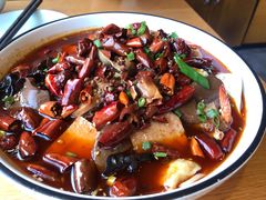 -伊喜饺子·烤鸭(五道口学院路店)