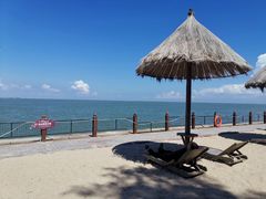 -北海金海湾红树林生态旅游区