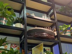 -東豫狼鲜货烧烤. 碳火烤鱼. 小龙虾(上海首店)
