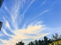 -园里火锅(仁和新城店)