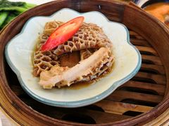 瑶柱金钱肚-潮福城大酒楼(北尚店)