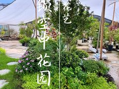 -双季花艺园艺市场(浦东店)