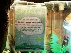 -上海大自然野生昆虫馆