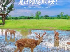 -良渚古城遗址公园