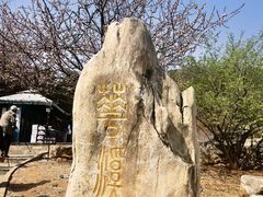 -北京西山国家森林公园