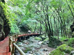 -牛背梁国家森林公园