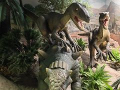 -国家自然博物馆