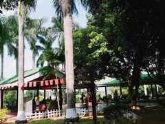 -侯臣咖啡文化村