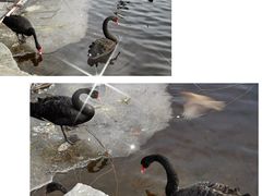 -颐和园