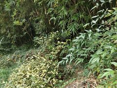 -一江春水·杭帮臻宴(三台山店)