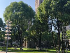 -重庆市江北嘴中央商务区中央公园