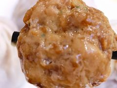 鲜肉小笼肉馅-王興記(中山路店)