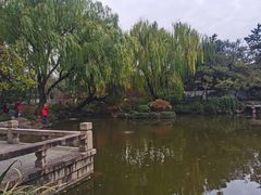 -秋霞圃