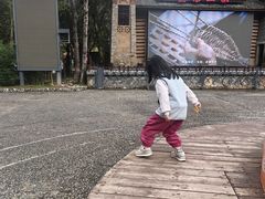 -牛背梁国家森林公园