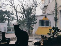 -海边的猫和咖啡馆