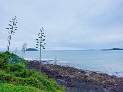 -漳州滨海火山岛自然生态风景区