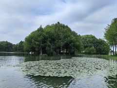 -贡湖湾湿地公园